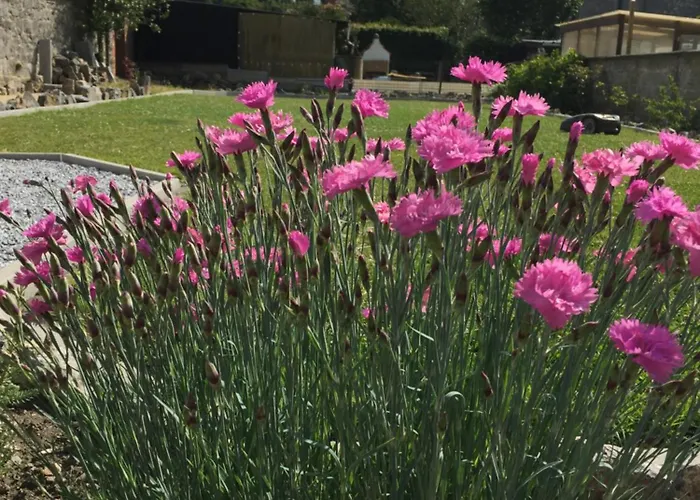 Holiday home L'abeille Somzee